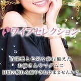 ワイフセレクション
