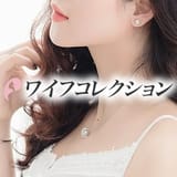 ワイフコレクション