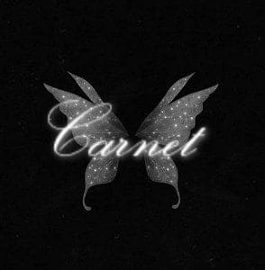 Carnet