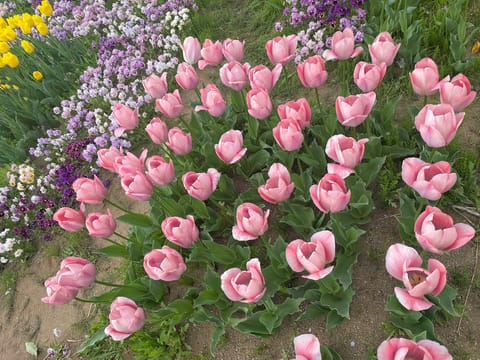 お久しぶりです🌷本日18時まで💁🏻‍♀️
ご予約いただいたお客様ありがとうございます〜！
直前のシフト追加で会いにきても