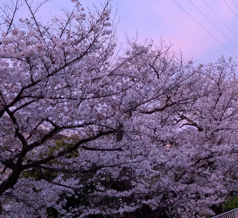先日はご指名様方ありがとう御座いました❤
コース変更までして下さって嬉しい🤗

https://bsky.app/pro