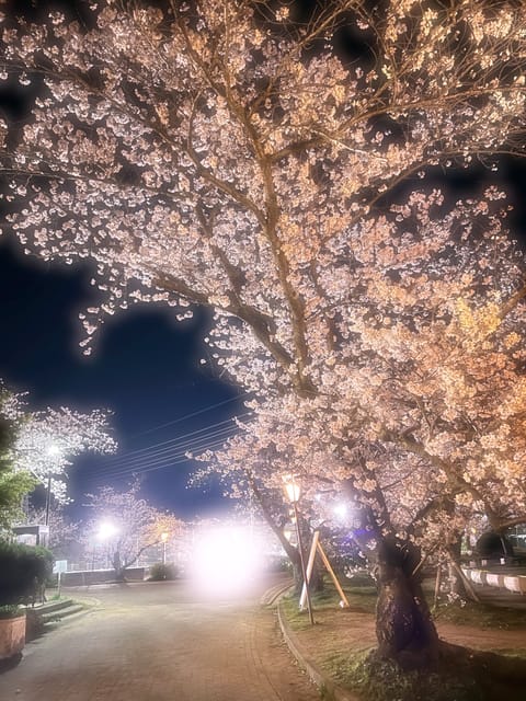 お久しぶりです(  ⸝⸝⸝◜ᵕ◝ ⸝⸝⸝)

4月もそそくさと通り過ぎて
5月になりましたね🎏𓂃 

5月末出勤予定でご