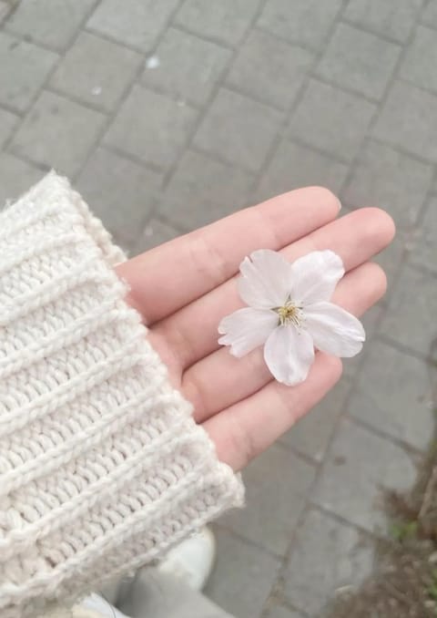 本日事前予約満枠のため札止めです🈵🌸

ご予約くださった本指名様方、
本当にありがとうございます♡

今週の空き枠は、
