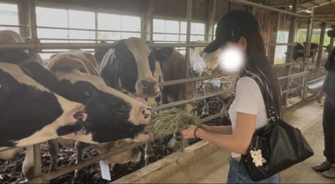 先日は成田のゆめ牧場へ🐮🐏🐐🌿🥛
牛乳が美味しかった🫰
やぎさん撫でてたら、後ろから肩に何かズンッ！！！羊さんでした🐏可