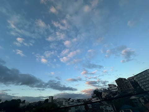 ずっとログインできずでTwitter出来てませんでした🥲

お店の人に教えてもらってやっとできた🙇💧