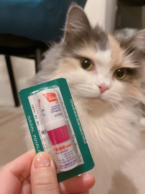 ほんでめっちゃ私信やけど
ななみんお土産ありがとー♥*ﾟ
ﾔｰﾄﾞﾑ写真撮ろうと思ったらもにゃが全力ですりすりしにきて写