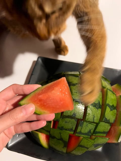かなり美味っ！！