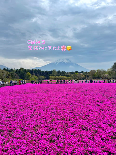 桜井えり