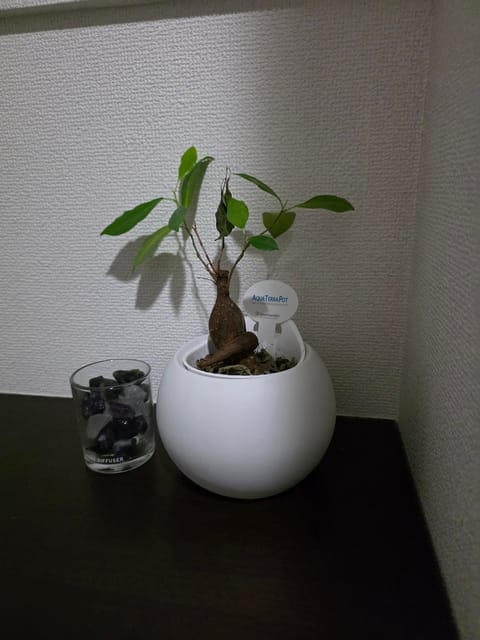 こんにちは🐶 
今日は15時からラストまで
本八幡ルームです🫡🌼

GW前にオイルマッサージは
どうですか😄？