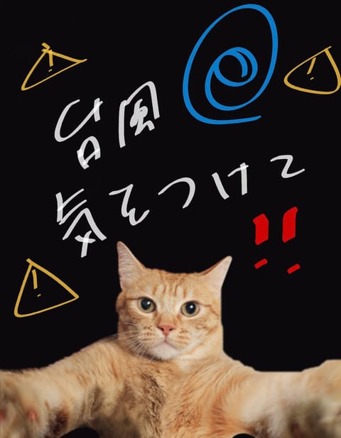 Xリツイートしてフォローしてくれたり反応してくれたり、すごく嬉しいです😭✨今日は、お会いした時にフォローしたよって言って