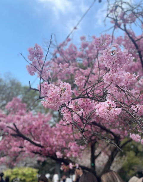 今からご案内可能です🎶

先程は本指様ありがとう💖
こりんといる時間幸せって感じてくれてるの嬉しい(*˘︶˘*).｡.: