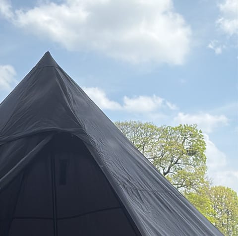 したり～⛺️