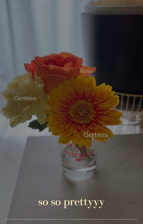 🌞🌤️🍊🌼
雨が続いてて部屋になかなか陽が入らないけど、このこ達が部屋を明るくしてくれてるーぅ感謝！
١٥٧٤