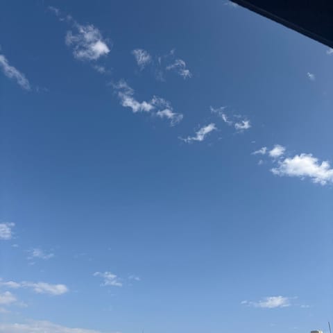 おはようございます！
今日は朝からお部屋にいます🐶☀️

こんな天気のいい日には、ホイップで一緒にあわあわなりたいです😚