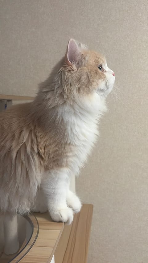明日満了になりました🥰
9/11日（金）19-23ご予約待ってます🫶🏻
来週とか先のスケジュール知りたい方はゼロツーのス