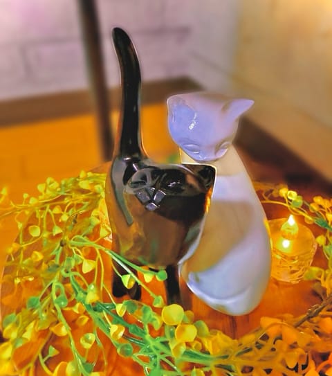本日16:00〜LASTの予定でしたが
【13:00〜LAST】に変更となりました🌱✨

早めの時間から皆様をお迎えでき