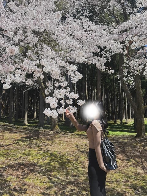 【🐰出勤予定🐰】

4/13(月)20:00~24:00
4/16(木)20:00~24:00

ご予約お待ちしてます🕯