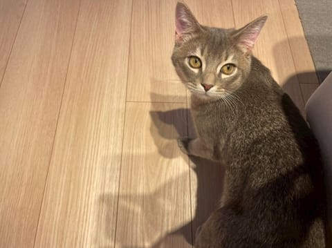 今日・22日(土)
お休みです

来週は、出勤する予定です

あやの❤