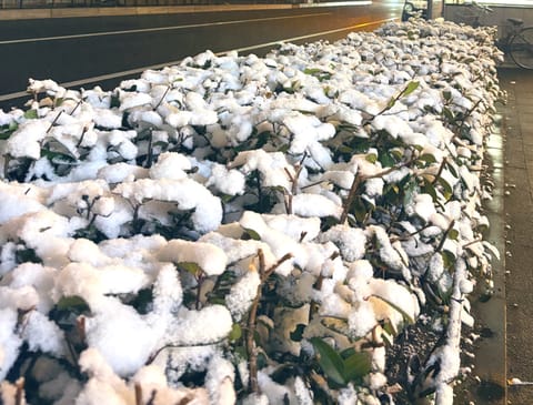 アキバもほんのり雪⛄️

さむ〜〜〜い中来てくださったお客様、本当にありがとうございました😭❄️
温かい日曜日を過ごせま