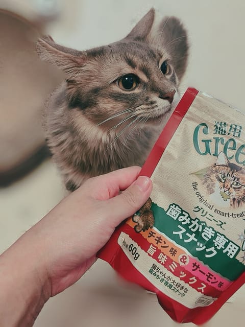 ネコチヤン大好きなのこちらのおやつ！
お客様の中にも気に入ってずっと愛用してくれてる方がーー！うれしい〜💓

あ！あした
