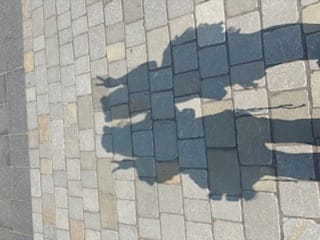 こんばんは〜！ききです

最近、夜になるとちょっと涼しくなってきたよね🍃

少し前まで暑すぎて外出るだけで汗だくだったの
