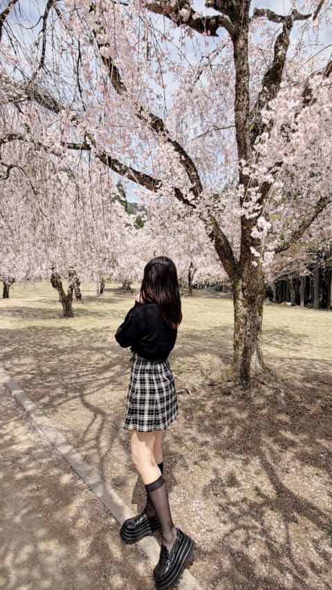 ギリギリお花見出来たの❕
しだれ桜がぽこぽこ咲いてて綺麗だった 🌸♡