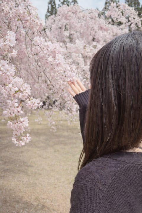 ギリギリお花見出来たの❕
しだれ桜がぽこぽこ咲いてて綺麗だった 🌸♡