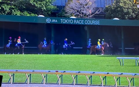 📺なう