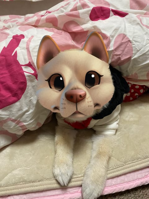 お久し綾瀬🙋🏻‍♀️✨
前回もお客様方ありがとうございました💓
本指名様いつも本当ありがとう🤤❣️
毎回早く会いたくてと
