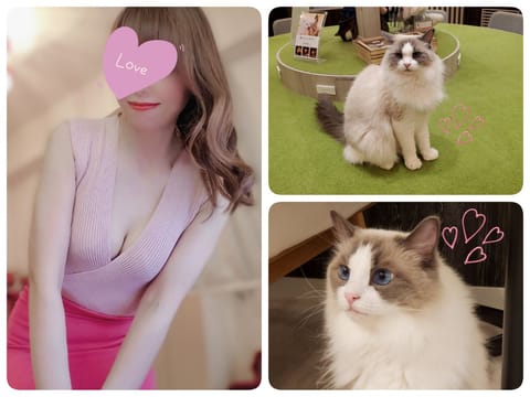 こんばんは✨
先週もありがとうございました🥰

♡今週の出勤予定♡
4/20(水) 12時～19時
     🌹浦和西口