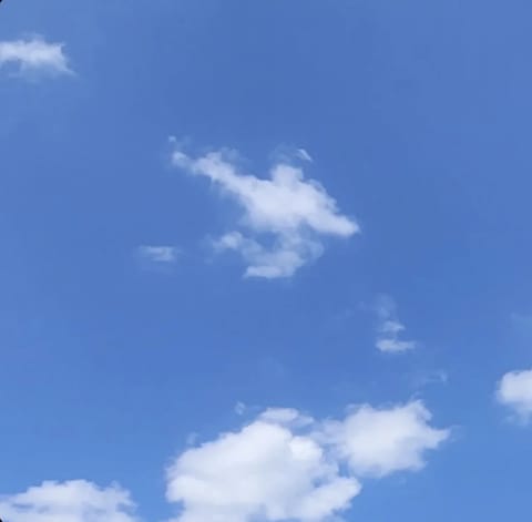 今日は久々に晴れて、お洗濯もの外に干せて嬉しかった～！✨
晴れてて幸せ🥰

朝起きて窓を開けたら、うっすら秋のにお