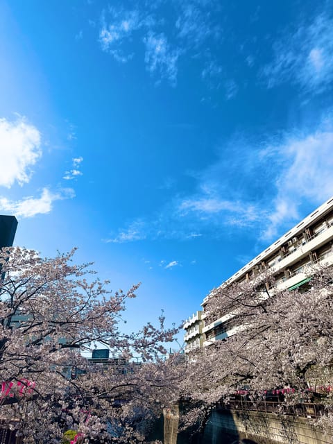 桜も散り出した4月はじめとすこし。
先週来てくれたお兄様達ありがとお♡🌸
9日18:00-22:00 恵比寿
11日16