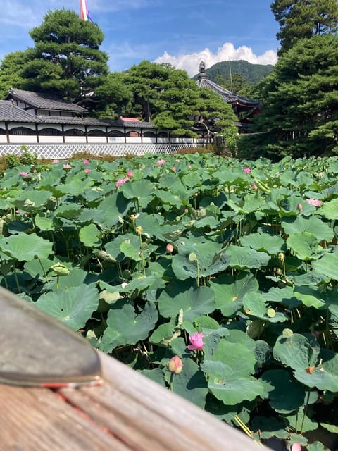 ご無沙汰しています
ゆずです🍊🐿

次回の出勤が決まりました✨
🍊8/21(金)21:00~28:00

あ