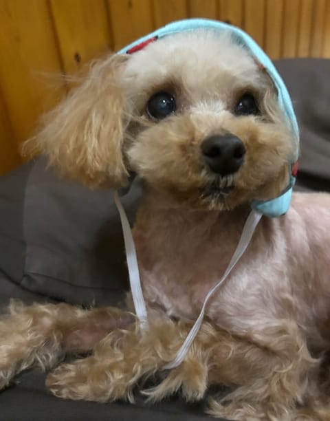 本日満枠ありがとうございました✨️

沢山のお兄さんがすずに会いに
来てくれて嬉しい💕

すずは今からこの子と
一緒にお