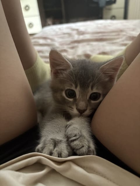 今日はありがとうございました〜🌿

また疲れた時にふらっと寄ってね🐱