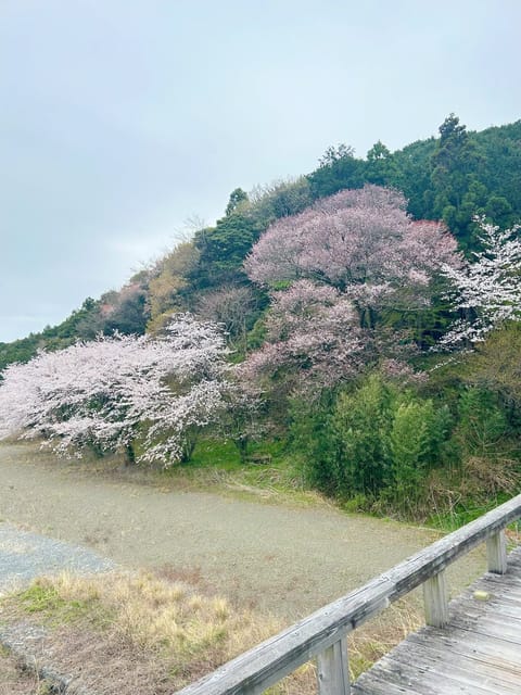 3月もありがとうございました♡

仲良し本指名様方、ご新規様方
楽しいお時間を過ごせて感謝です💐🤍

🍵🌿.•*  🌳 