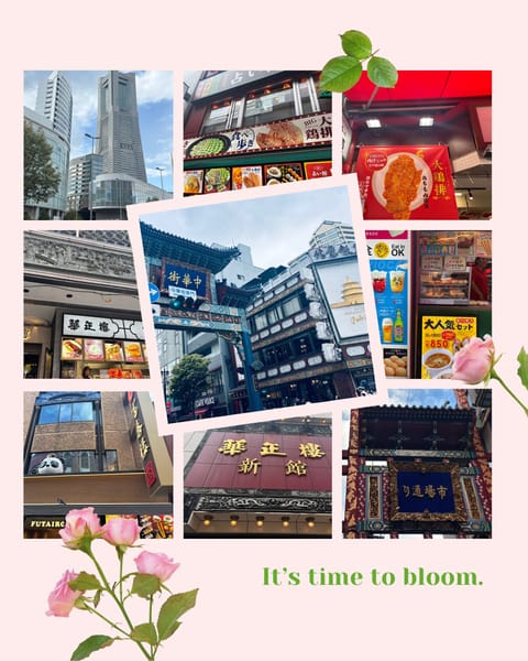 お疲れ様です˚ 🦢₊✧

横浜に来て
久しぶりの
中華街にも来ました💕

去年ぶりの
縁起屋さん
去年来た時に
次回ge