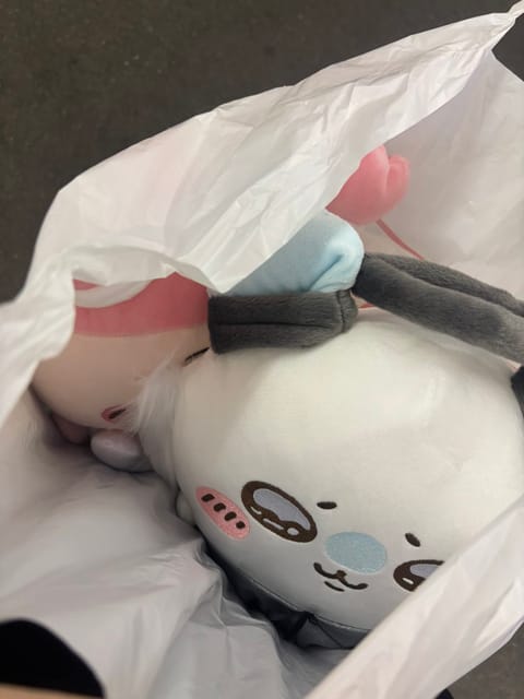 ルームのそばにゲームセンターあったから
ちいかわ♥️😆取りました

かわいい🩷