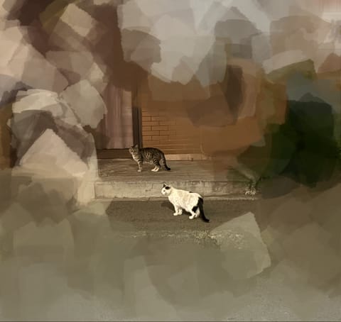 かわいかった〜(T T)🐈