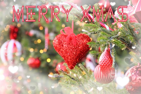 ❤️❤️Merry Xmas❤️❤️
素敵なxmasお過ごし下さいね😆