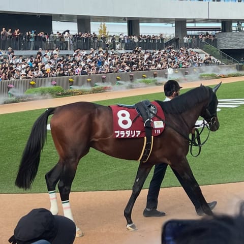 京都大賞典頑張ったけど🏇
馬券内に入らなかった(買ってないけど)
次も高杉さん騎乗で頑張って欲しい
（このバドックはちと