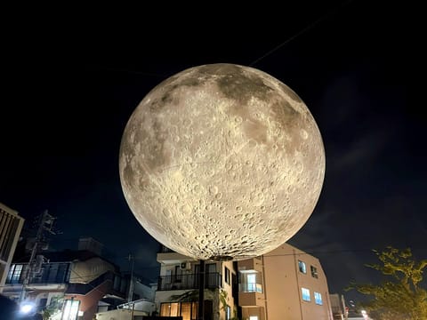 8月9月とお越しくださった皆様
本当にありがとうございました🙇‍♀️🩷
10月もよろしくお願いいたします🎃