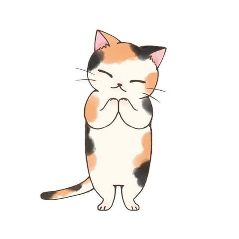 DM送れるようにしました🌷✨
💌確認が遅くなりますが、　
リピーターのお客様のみ
出勤リクエストも出来る限りお受けします