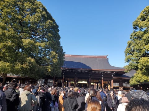 明けましておめでとうございます✨️
今年もよろしくお願いします🙇‍♀️

🐰今週の出勤🐰
1/9(火)19:00～23: