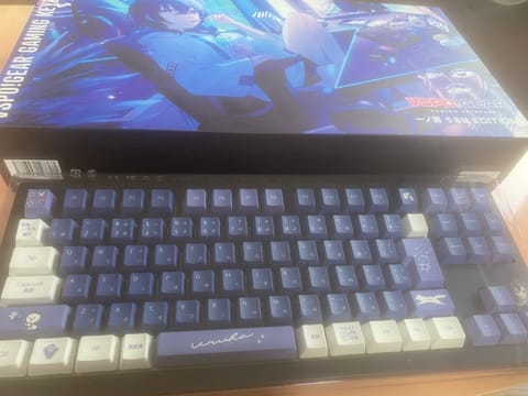 ぶいすぽっ！キーボード届いた〜
推しは一ノ瀬うるは（╹◡╹）