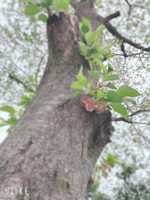 こんばんは😊
今週は22.24日に出勤します

いちご狩りしたり、ゴルフしたりと楽しい週末を過ごしたのでまたマッサージ頑