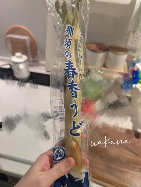 スーパーで食べたことない春野菜があると買っちゃうクセがあります( ᐢ.   .ᐢ )🥬

うどの酢味噌和え、美味しいかっ