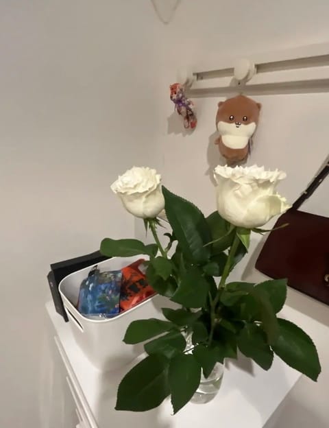 家ひっくり返して片付けてたら花瓶出てきたから久々にお花買った！バラがシーズン終わりかけとのことで今回はバラに^_^
次は