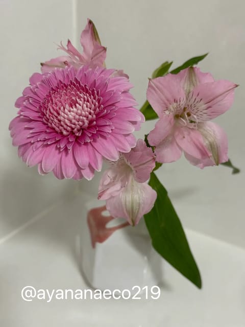 本日は所沢ルームです🏠

🦋 7日(日)12-18 所沢 🦋

最近だいぶ寒くなってきたので
揉みほぐしの際に
オイルを