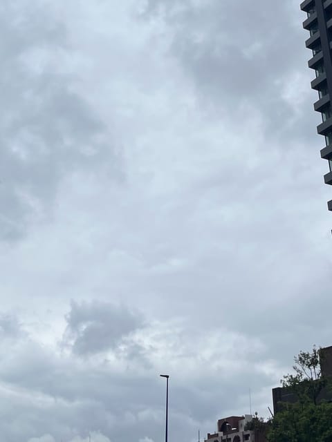 おはようございます☁️

台風あっという間に去りましたね🌀
酷いと思って引きこもると決めていたのに…
超がつくほどの雨女